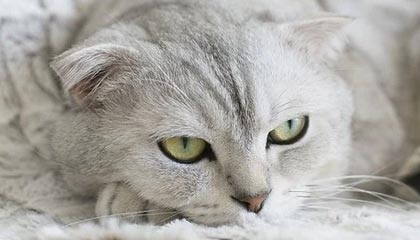 九游官网——开启极致游戏体验的新天地